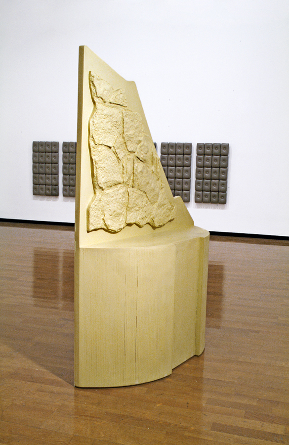 Poupak Sarah Shoughi, California (2012)